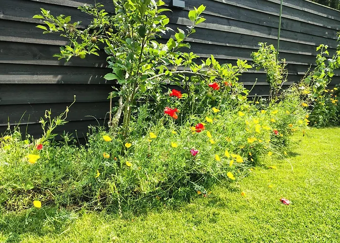 Ut Peeleind زيلاند