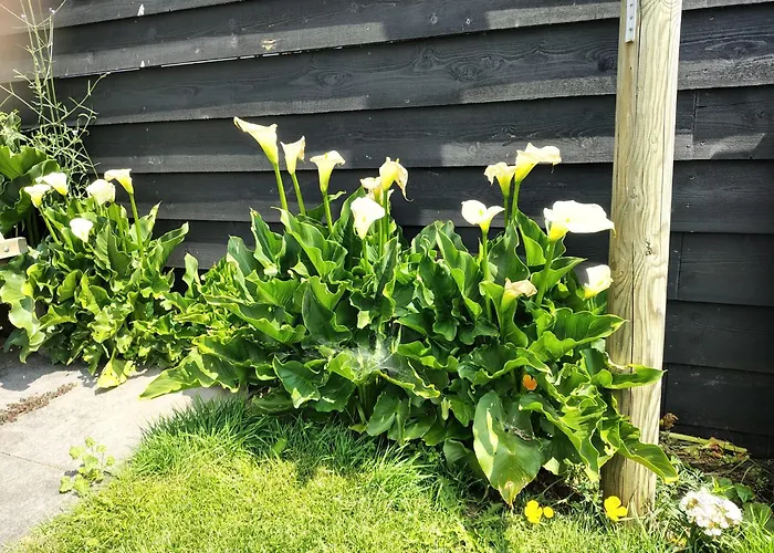 Ut Peeleind Дом отдыха *